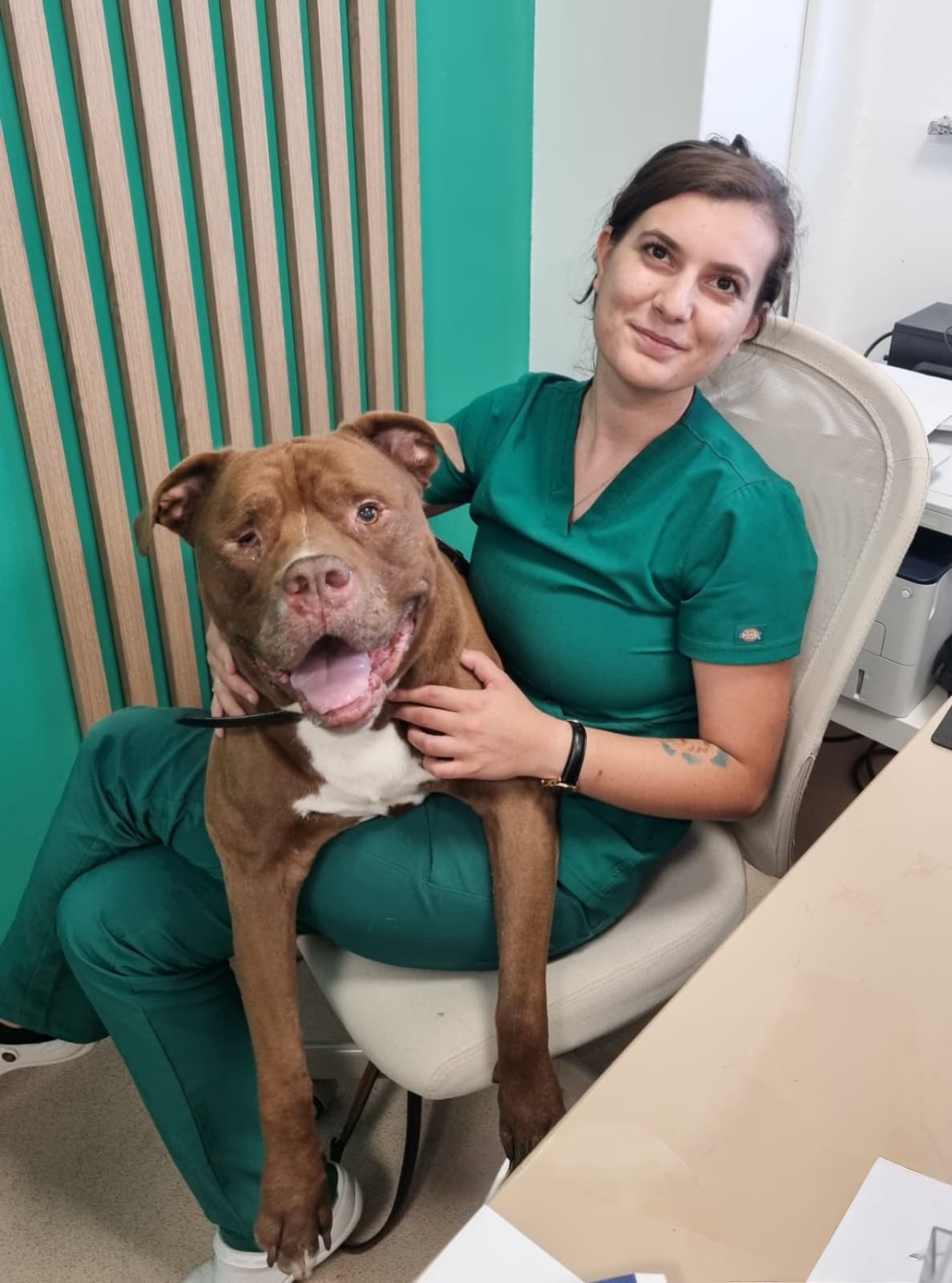 Roxana Baran – specialist anestezie veterinară