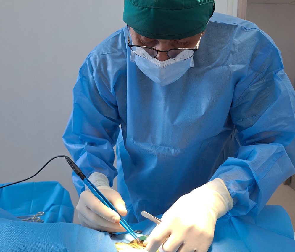 chirurgie veterinara