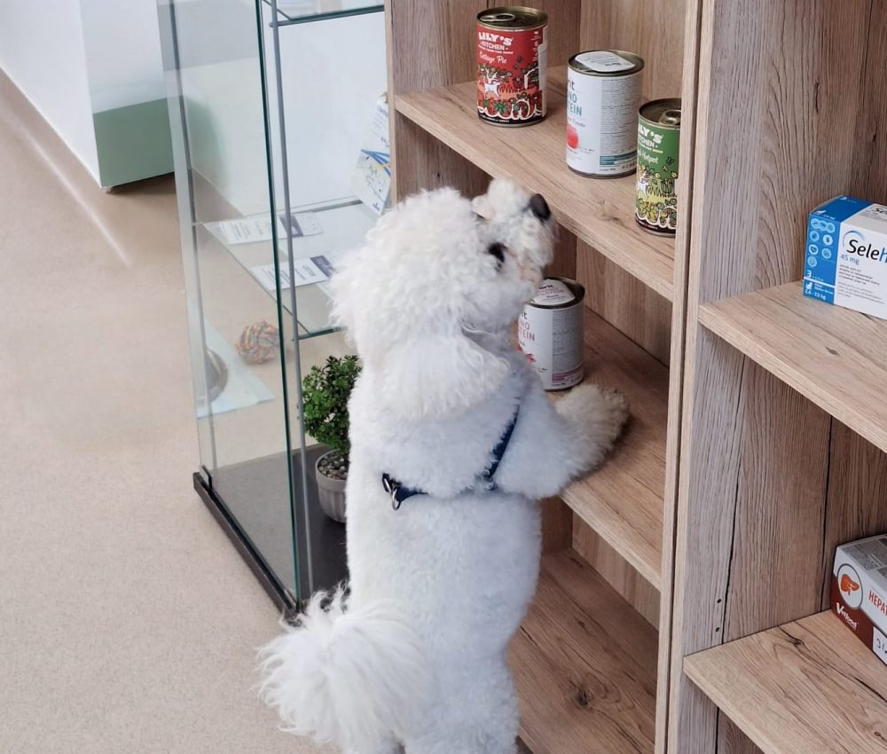 farmacie veterinara