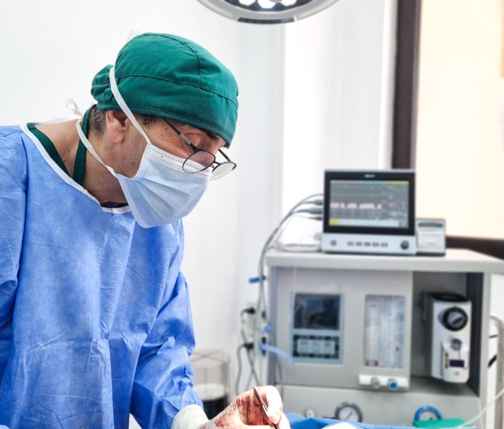 chirurgie de urgenta veterinara